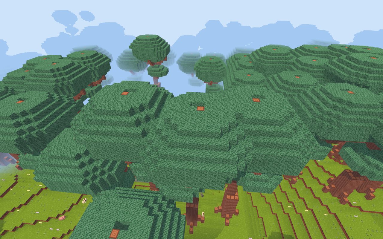Woodland canopy from above.
