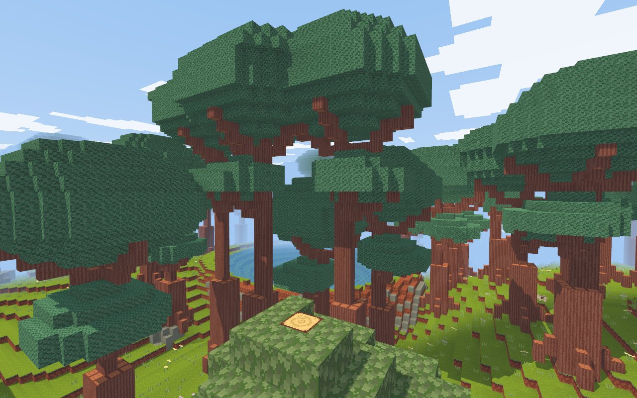 Under the redwoods.
